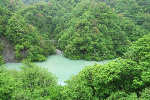 d0029363_8284653.jpg