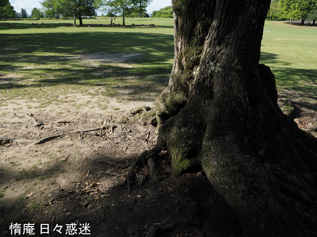 e0346064_013466.gif