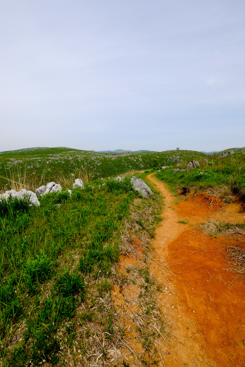 c0084666_23321847.jpg
