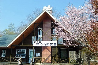 b0171771_02263765.jpg