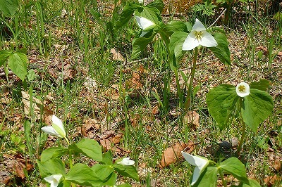 b0171771_02265427.jpg