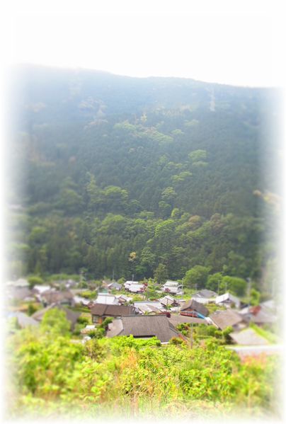 d0175974_2051231.jpg