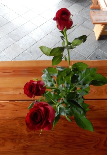 f0054677_08404977.jpg