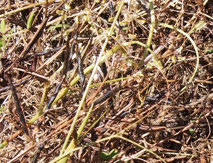 f0101679_23291898.jpg