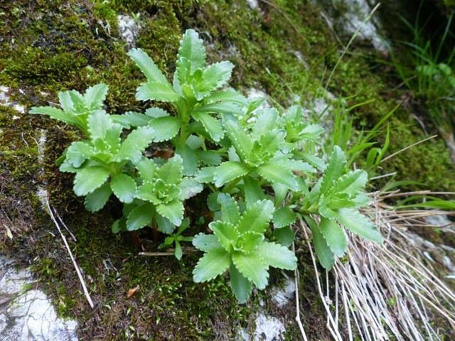 f0357487_14115274.jpg