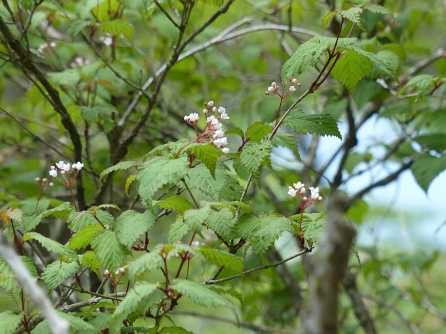 f0357487_147225.jpg