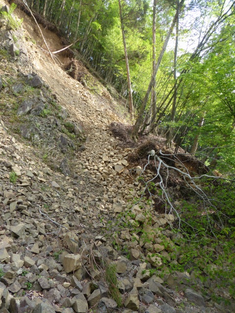 f0357487_1564173.jpg