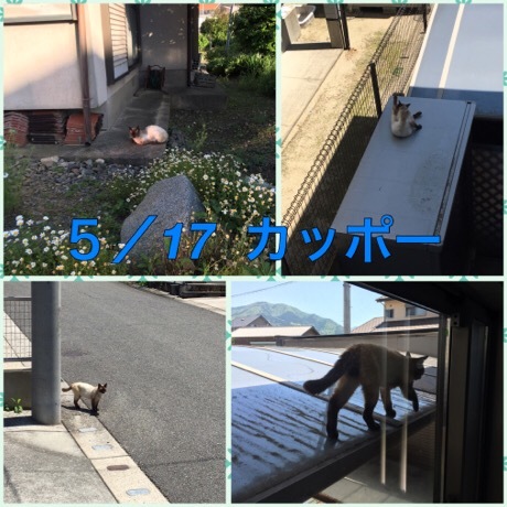 b0035391_21361302.jpeg