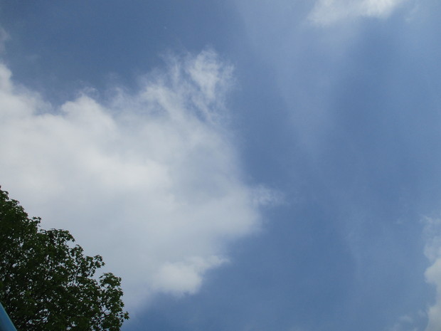 d0333091_19461028.jpg