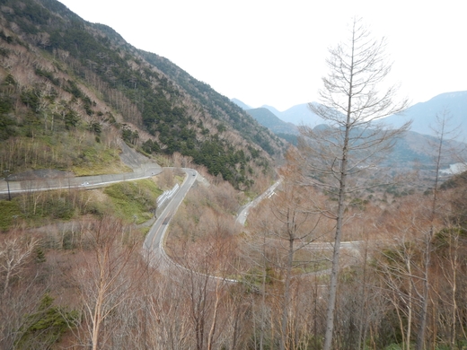 b0074992_14581175.jpg