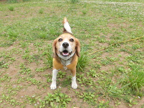 a0319693_3272257.jpg
