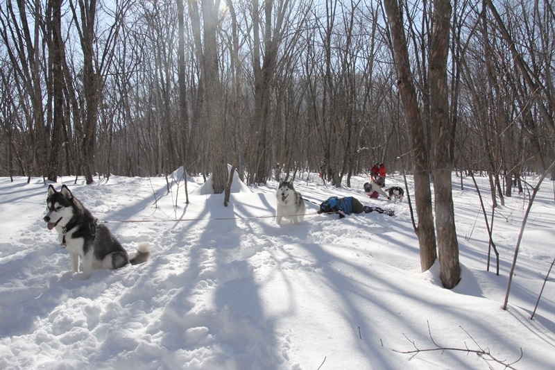 b0207615_23155254.jpg