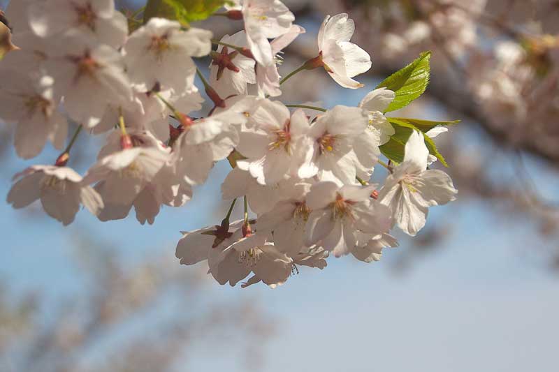 e0001123_145294.jpg