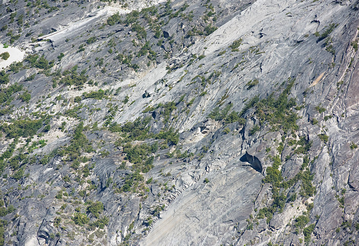 b0085526_15502510.jpg