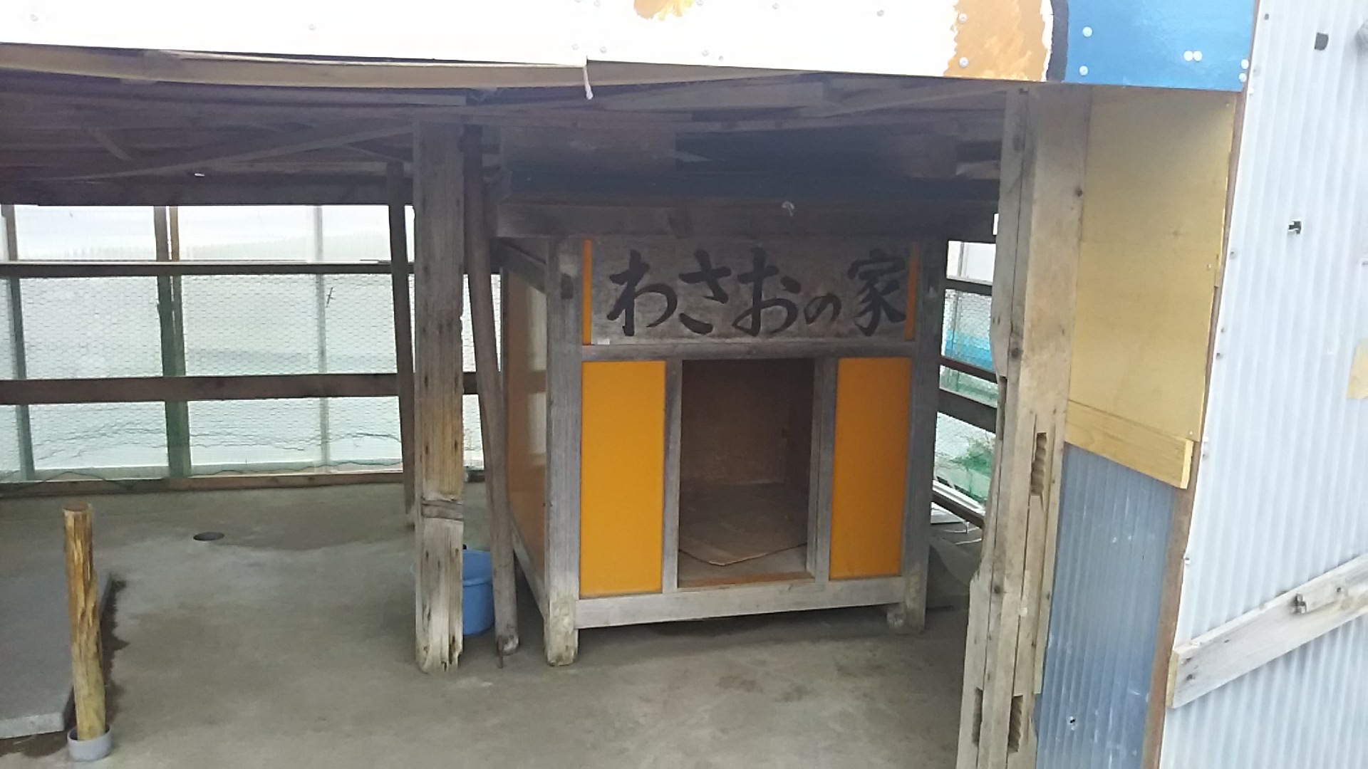 c0201929_19133911.jpg
