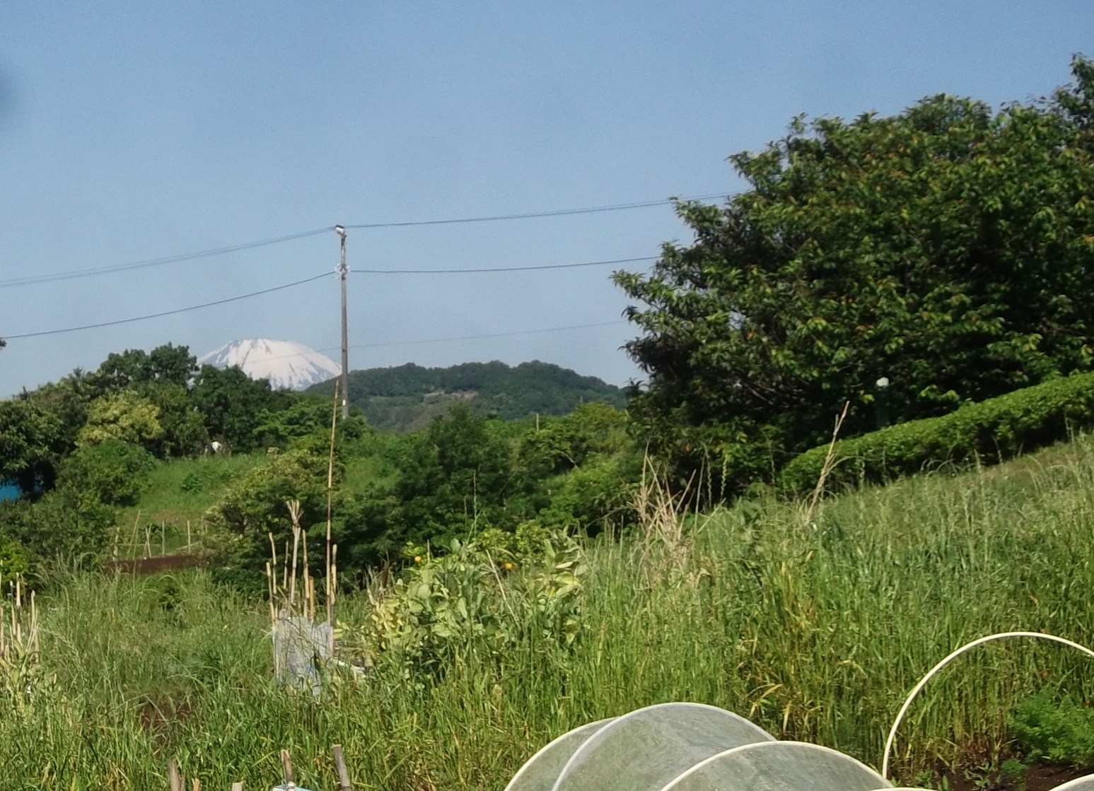 b0137932_1914635.jpg