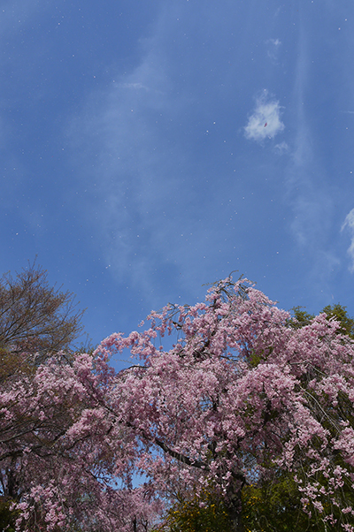 b0035734_19073497.jpg