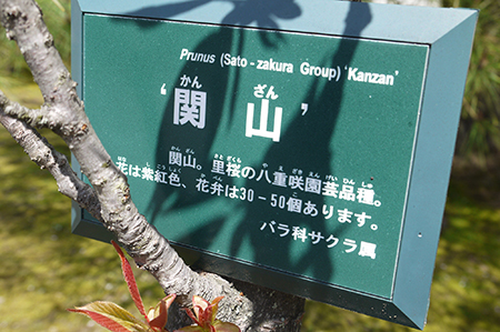 b0035734_19121716.jpg