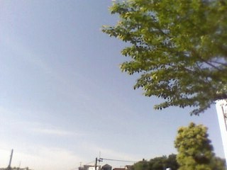 e0150843_9302491.jpg