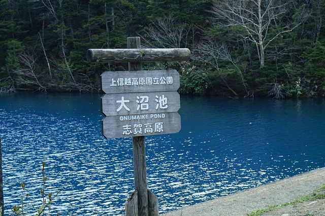 b0122448_07005079.jpg