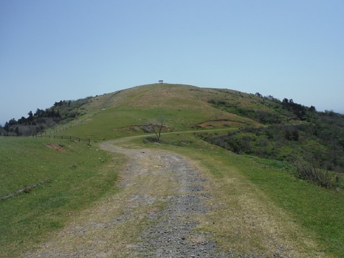 a0237349_16204345.jpg