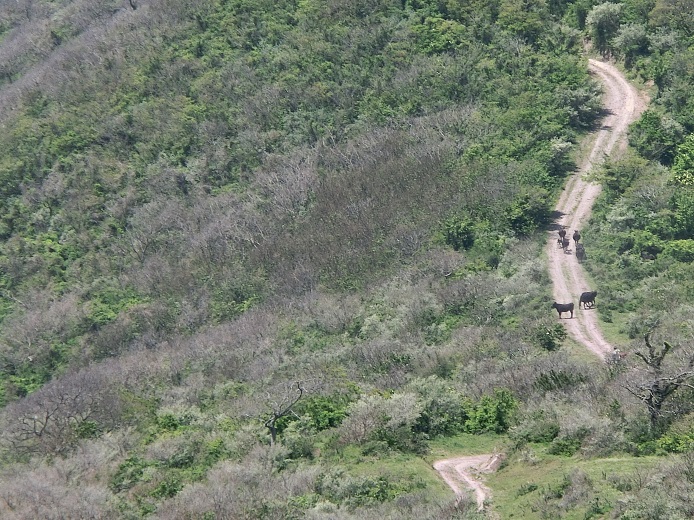 a0237349_16384481.jpg