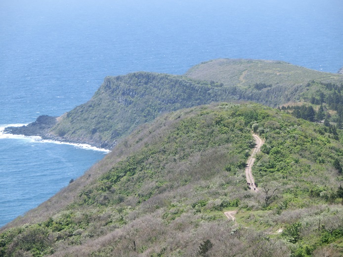 a0237349_1638715.jpg