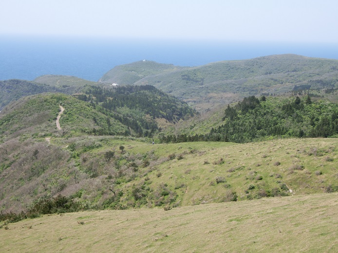 a0237349_16411552.jpg