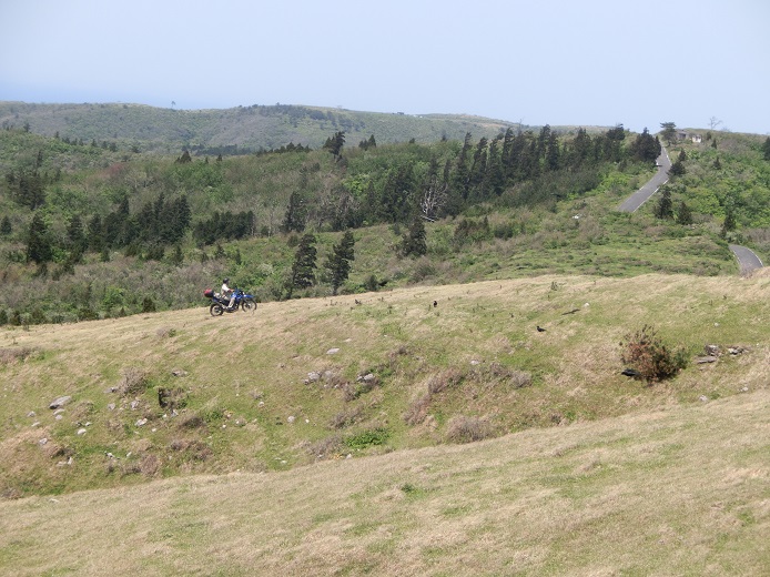a0237349_16421251.jpg