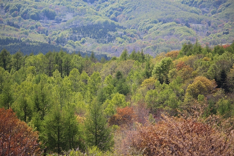 b0250154_00071637.jpg