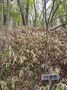 b0335256_12214414.jpg