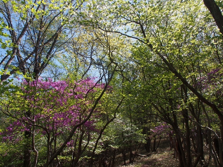 b0335256_13314694.jpg