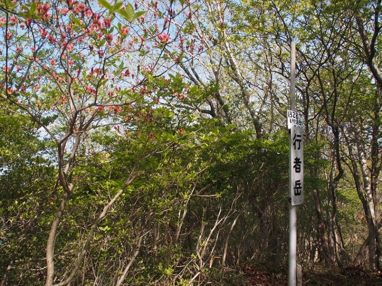 b0335256_14073925.jpg