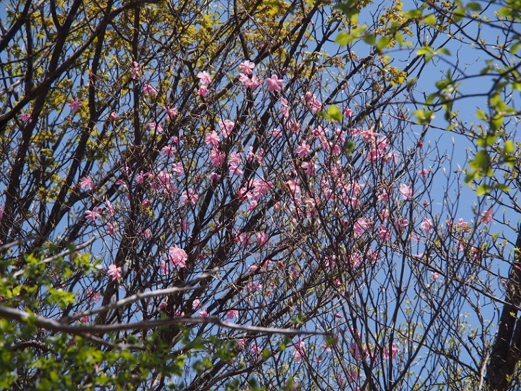 b0335256_14305216.jpg