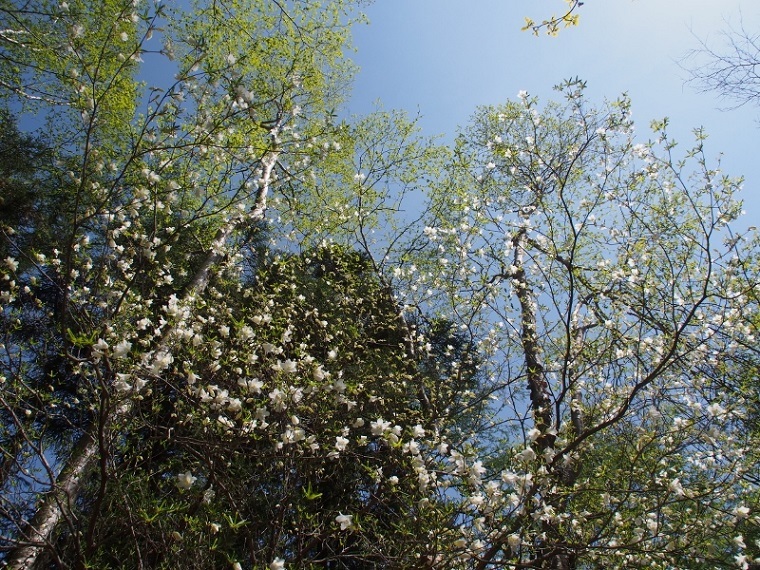 b0335256_14331017.jpg