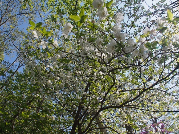 b0335256_14333752.jpg