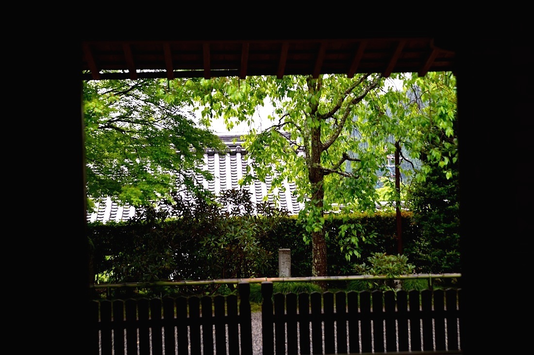 d0175768_22243884.jpg