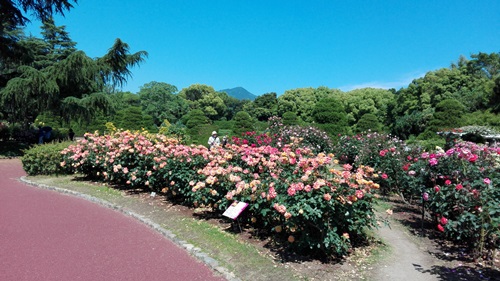f0144970_2155186.jpg