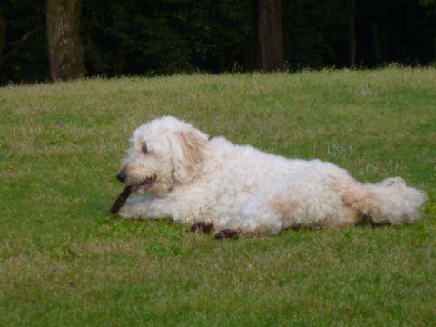 e0161972_10214659.jpg