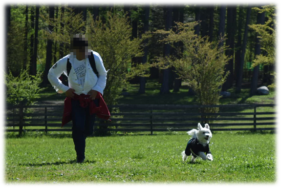 b0242873_00555827.png