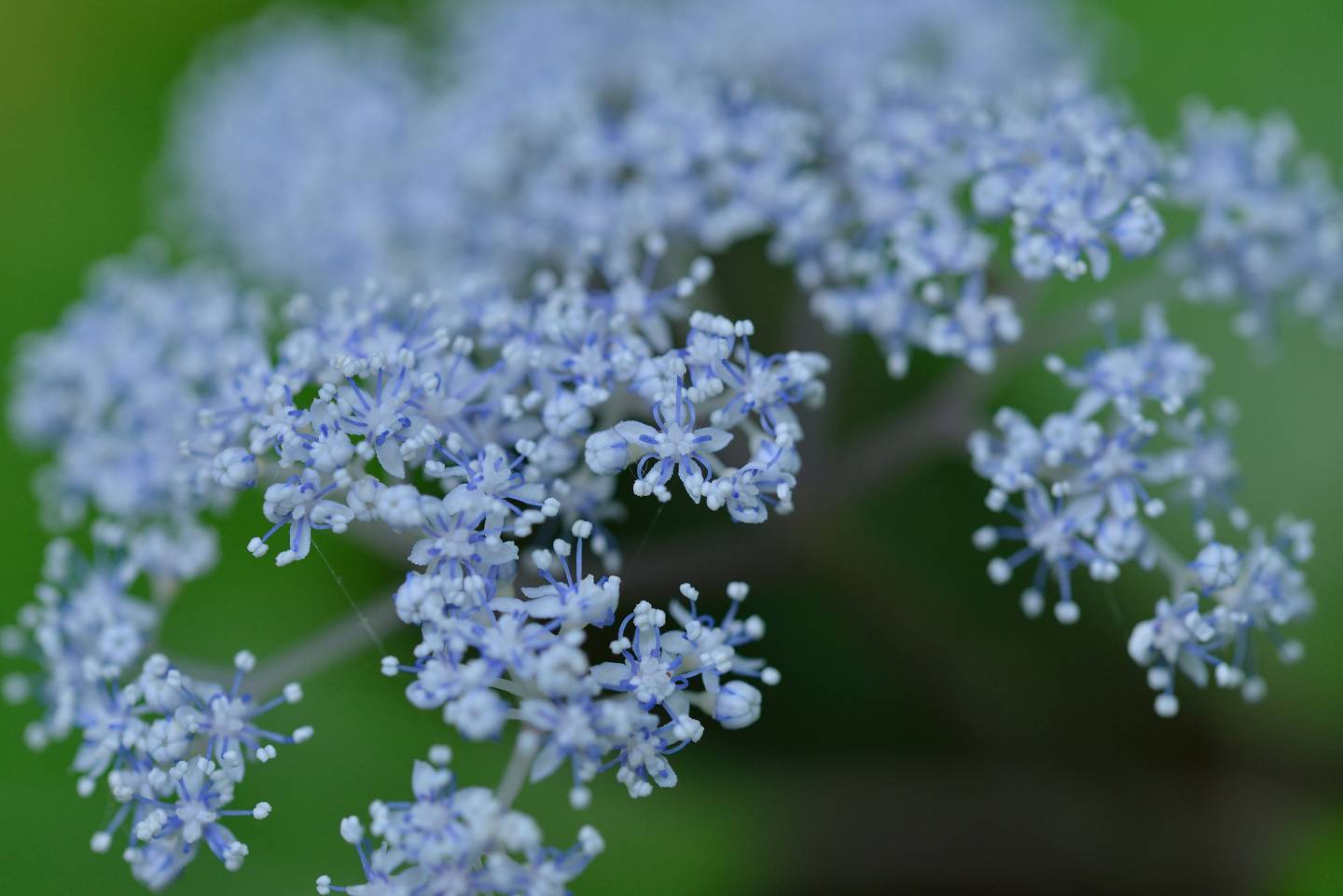 d0328977_13550190.jpg
