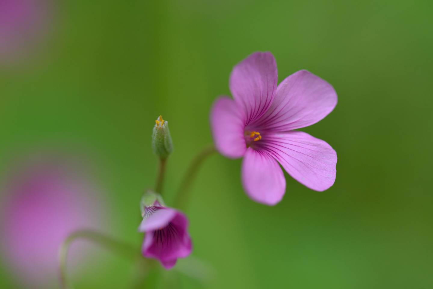 d0328977_13562495.jpg