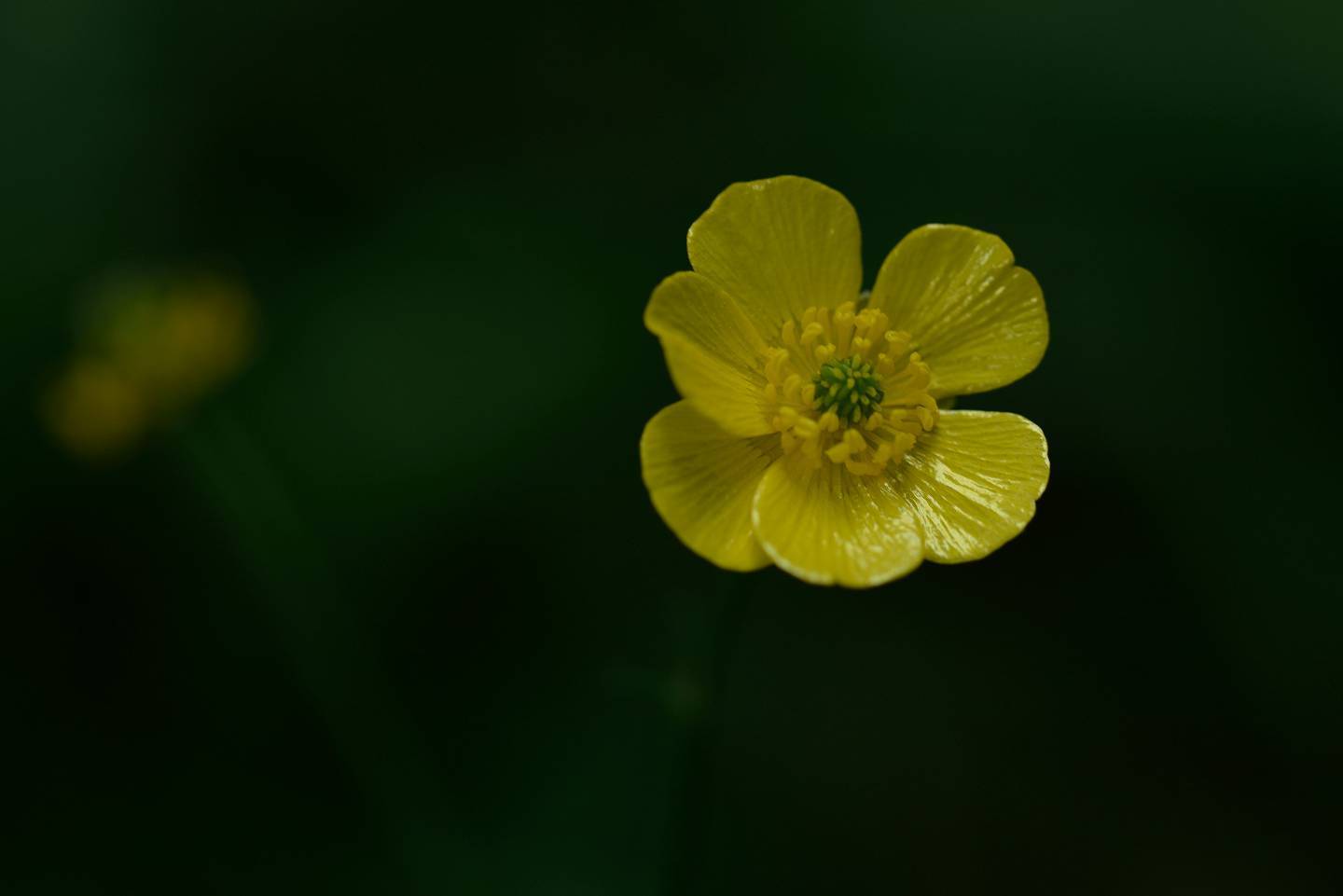 d0328977_13565437.jpg