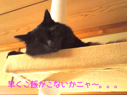 a0308381_09590701.jpg