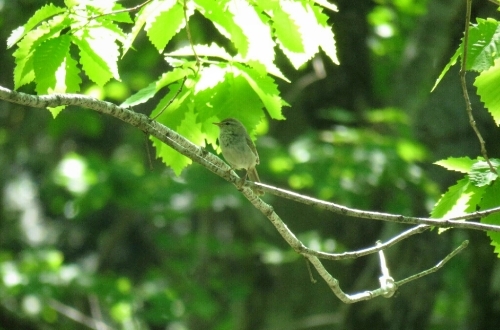 e0357387_22363931.jpg