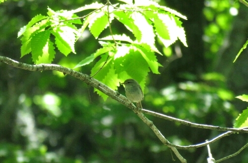 e0357387_22364763.jpg