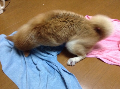 c0123890_23191560.jpg