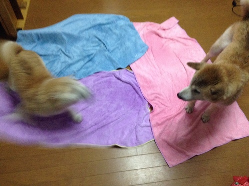 c0123890_23202235.jpg