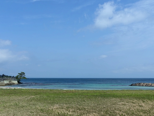 a0229491_20521332.jpg
