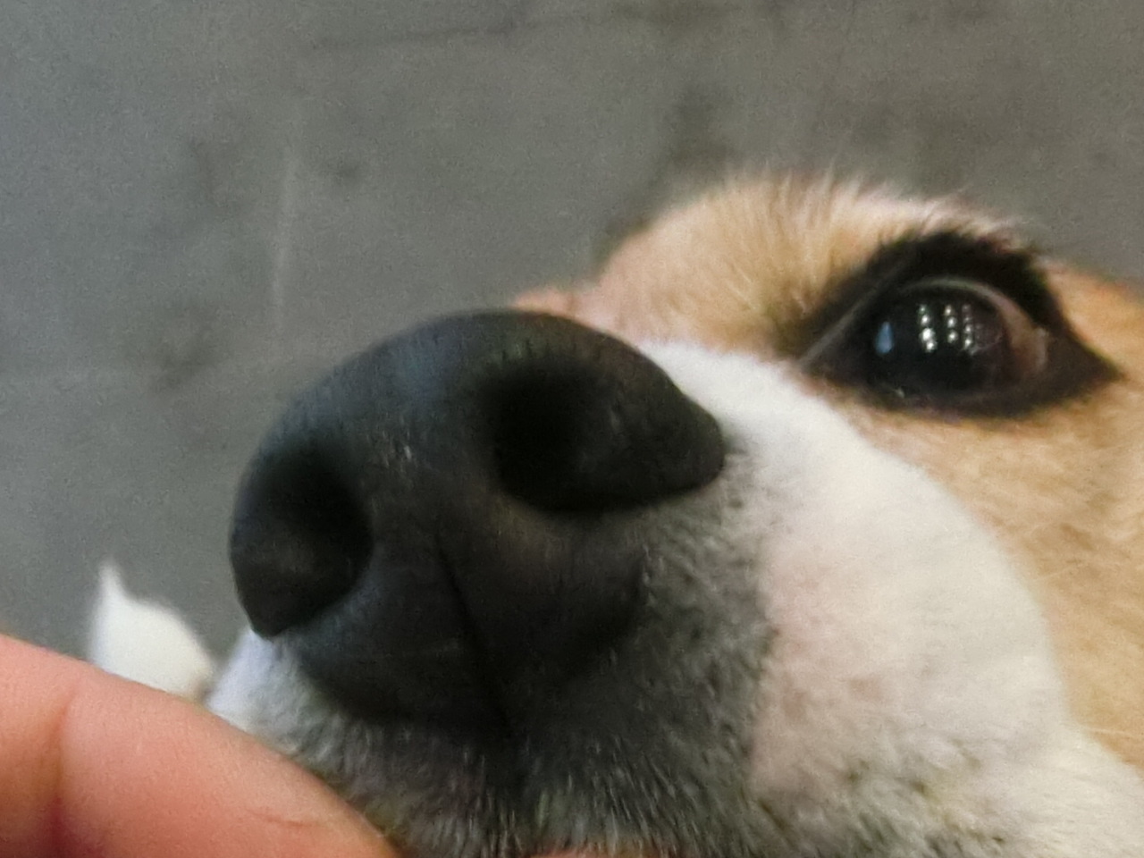 a0319693_7301100.jpg